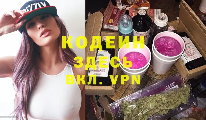 Кодеин Purple Drank  ссылка на мегу как войти  Жиздра  цены  